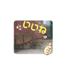 つぶやきカメさん②（個別スタンプ：1）