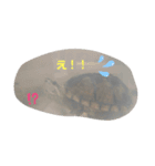つぶやきカメさん②（個別スタンプ：3）