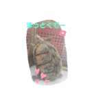 つぶやきカメさん②（個別スタンプ：4）