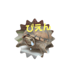 つぶやきカメさん②（個別スタンプ：5）