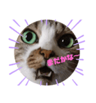 ナナエモン③（個別スタンプ：4）