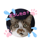 ナナエモン③（個別スタンプ：5）