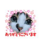 ドラエモン＆サンド①（個別スタンプ：1）