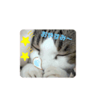 ドラエモン＆サンド①（個別スタンプ：4）