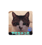 ドラエモン＆サンド①（個別スタンプ：7）