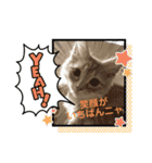 ねこねこのハッピーアドバイス（個別スタンプ：2）