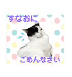 ねこねこのハッピーアドバイス（個別スタンプ：6）