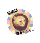 ねこねこのハッピーアドバイス（個別スタンプ：7）