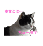ねこねこのハッピーアドバイス（個別スタンプ：12）