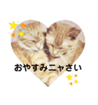ねこねこのハッピーアドバイス（個別スタンプ：14）