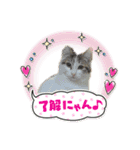 ねこねこのハッピーアドバイス（個別スタンプ：16）