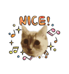 ねこねこのハッピーアドバイス（個別スタンプ：18）