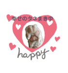 ねこねこのハッピーアドバイス（個別スタンプ：19）