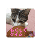 ねこねこのハッピーアドバイス（個別スタンプ：23）