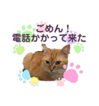 ねこねこのハッピーアドバイス（個別スタンプ：24）