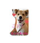 ムックとりん（個別スタンプ：6）