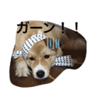 ムックとりん（個別スタンプ：7）
