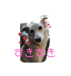 ムックとりん（個別スタンプ：13）