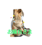ムックとりん（個別スタンプ：14）
