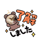 わんわんっ！！ まるまるスタンプ（個別スタンプ：6）