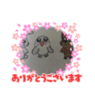 うさ、とりち、ねこち（個別スタンプ：4）