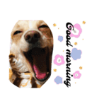 王子とちくわ（個別スタンプ：3）