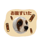 王子とちくわ（個別スタンプ：13）