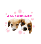 王子とちくわ（個別スタンプ：14）