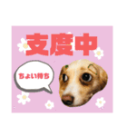王子とちくわ（個別スタンプ：17）