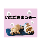 王子とちくわ（個別スタンプ：21）