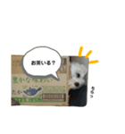 きなこスタンプ4．（個別スタンプ：1）