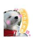 きなこスタンプ4．（個別スタンプ：3）