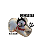 きなこスタンプ4．（個別スタンプ：5）