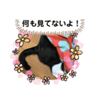 ハチ割れクロちゃんの日常②（個別スタンプ：9）