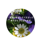 思い出の花たち（個別スタンプ：10）