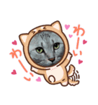 わんにゃん家族❤️1❤️（個別スタンプ：9）