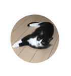 もにょまる スタンプ（個別スタンプ：2）