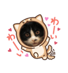 もにょまる スタンプ（個別スタンプ：19）