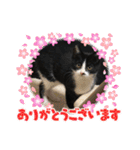 もにょまる スタンプ（個別スタンプ：21）