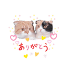 ココリリちゃん①（個別スタンプ：2）