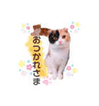 ココリリちゃん①（個別スタンプ：3）