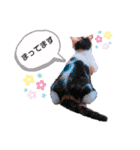 ココリリちゃん①（個別スタンプ：9）