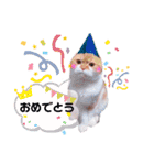ココリリちゃん①（個別スタンプ：10）
