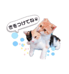 ココリリちゃん①（個別スタンプ：15）
