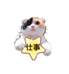 ココリリちゃん①（個別スタンプ：17）