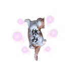 ココリリちゃん①（個別スタンプ：18）