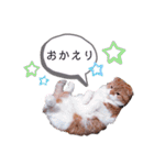 ココリリちゃん①（個別スタンプ：19）