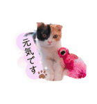 ココリリちゃん①（個別スタンプ：27）