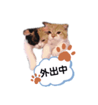 ココリリちゃん①（個別スタンプ：29）