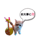 ココリリちゃん①（個別スタンプ：30）